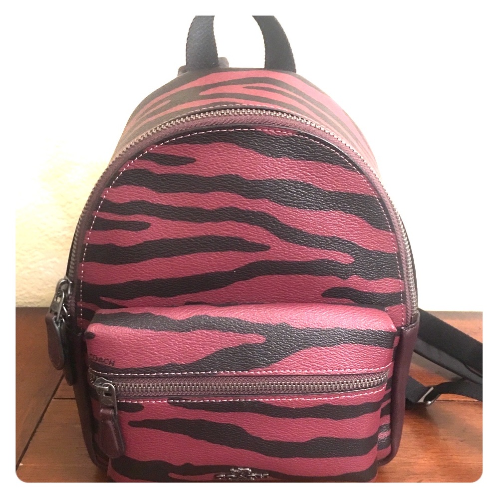 Coach Mini Backpack
